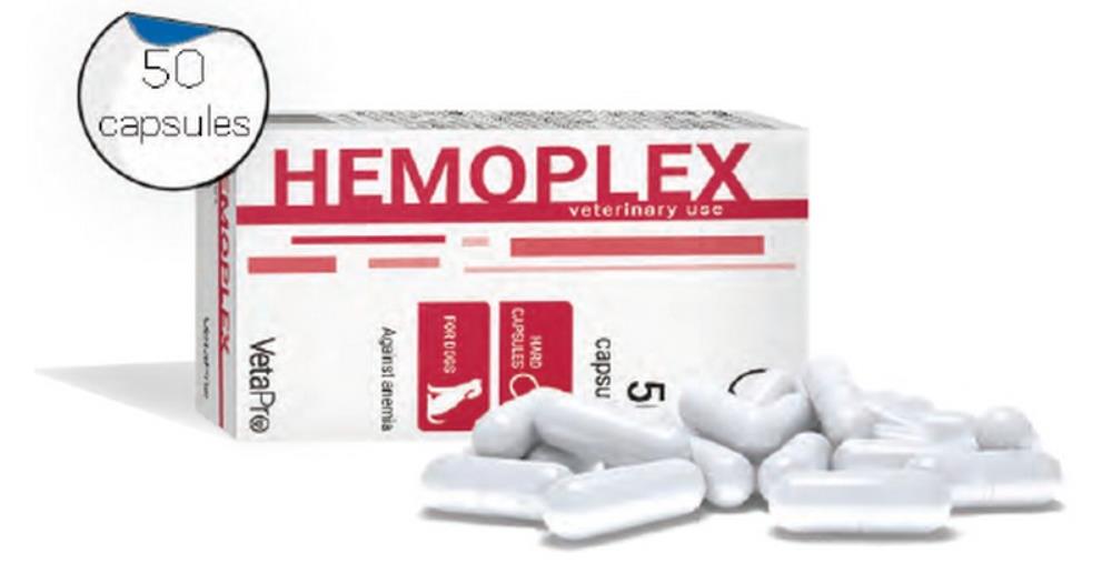 HEMOPLEX 50 capsules 1cap=330mg | PlusPlus